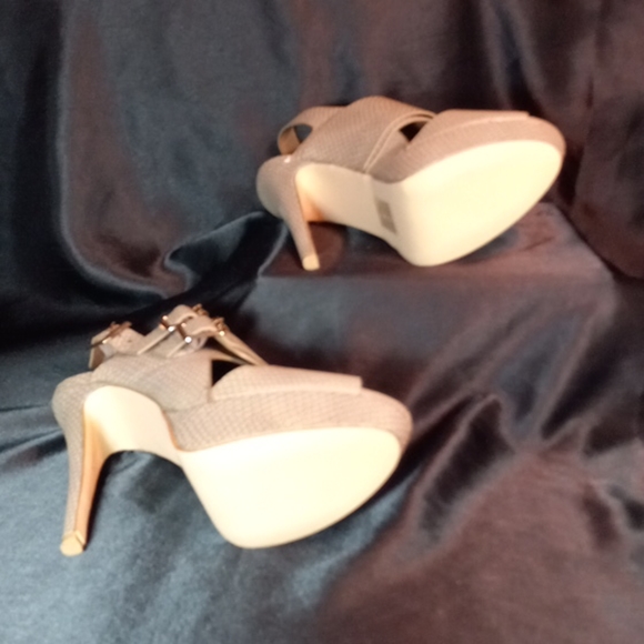 Beau & Ashe - Picture 4 of 5